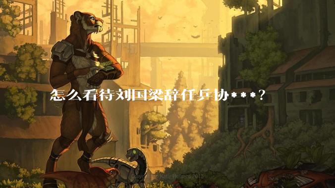 怎么看待刘国梁辞任乒协***？