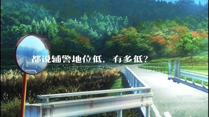 都说辅警地位低，有多低？