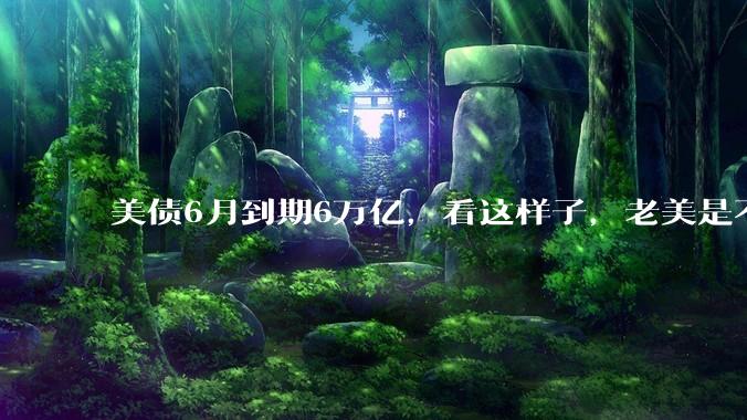 美债6月到期6万亿，看这样子，老美是不是还不了了？
