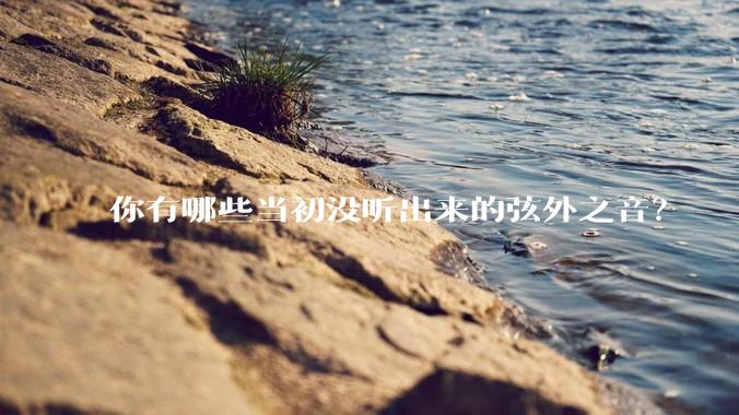 你有哪些当初没听出来的弦外之音？