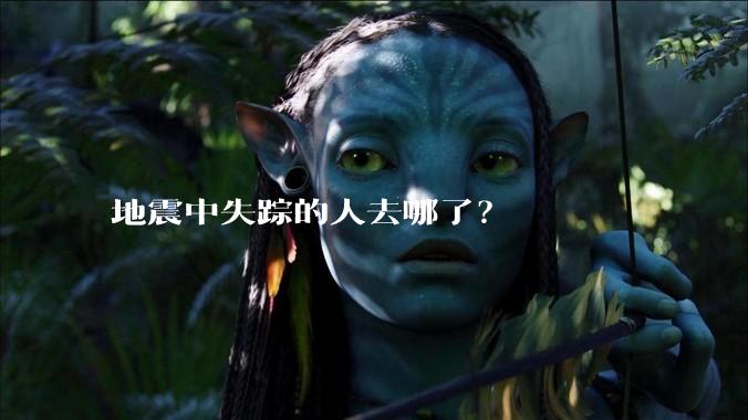 地震中失踪的人去哪了？