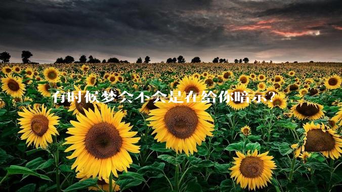 有时候梦会不会是在给你暗示？